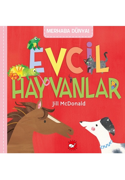Merhaba Dünya - Evcil Hayvanlar