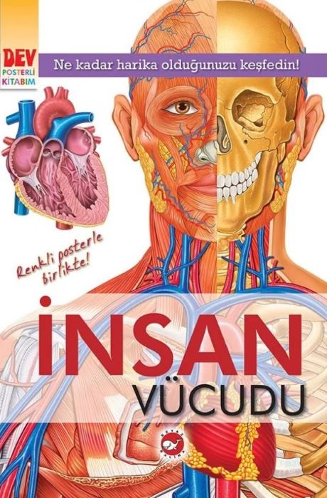 Dev Posterli Kitabım - İnsan Vücudu